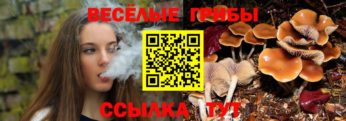 Галлюциногенные грибы Psilocybine cubensis  где купить наркоту  Спасск-Дальний  Вход с VPN 